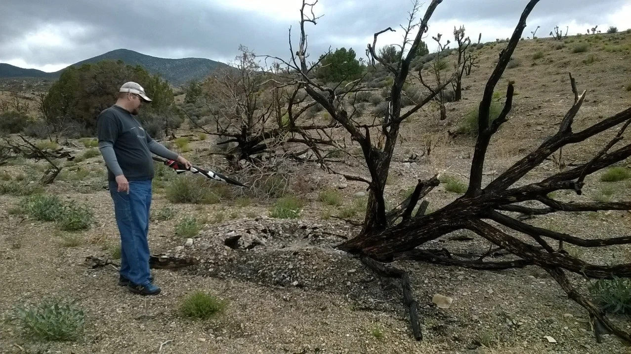 Person examining burned tree in fire-damaged Nevada landscape